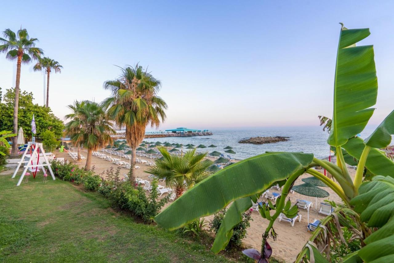 Ramira Beach Hotel Avsallar Kültér fotó