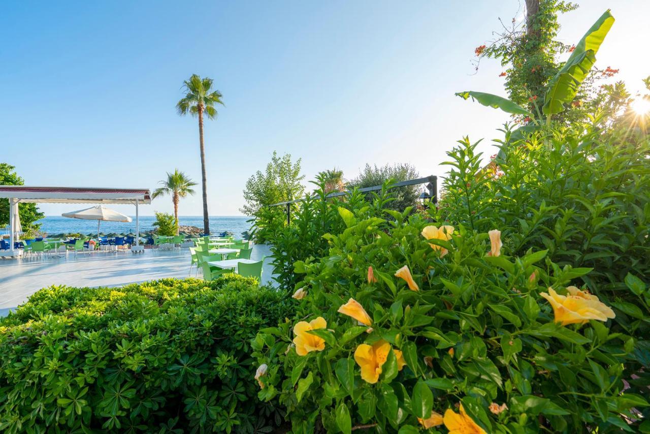 Ramira Beach Hotel Avsallar Kültér fotó